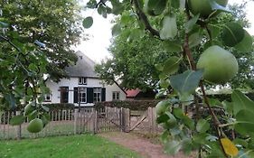 B&B De Willemshoeve